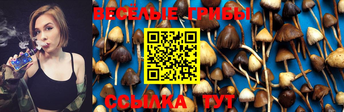 Белореченск  Галлюциногенные грибы Cubensis  Вход с VPN  Галлюциногенные грибы MAGIC MUSHROOMS 